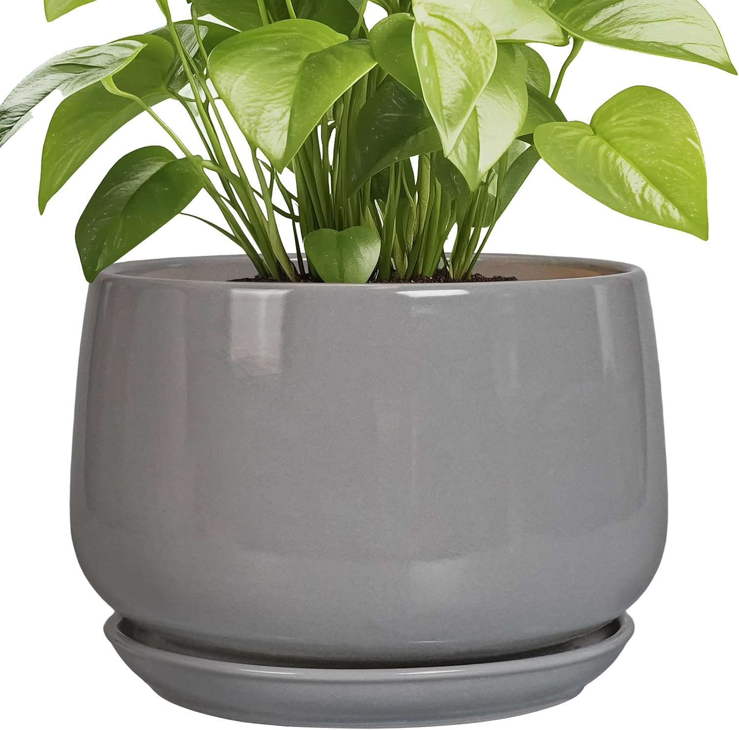 Modern Round Ceramic Plant Pots with Drainage for Indoor Outdoor