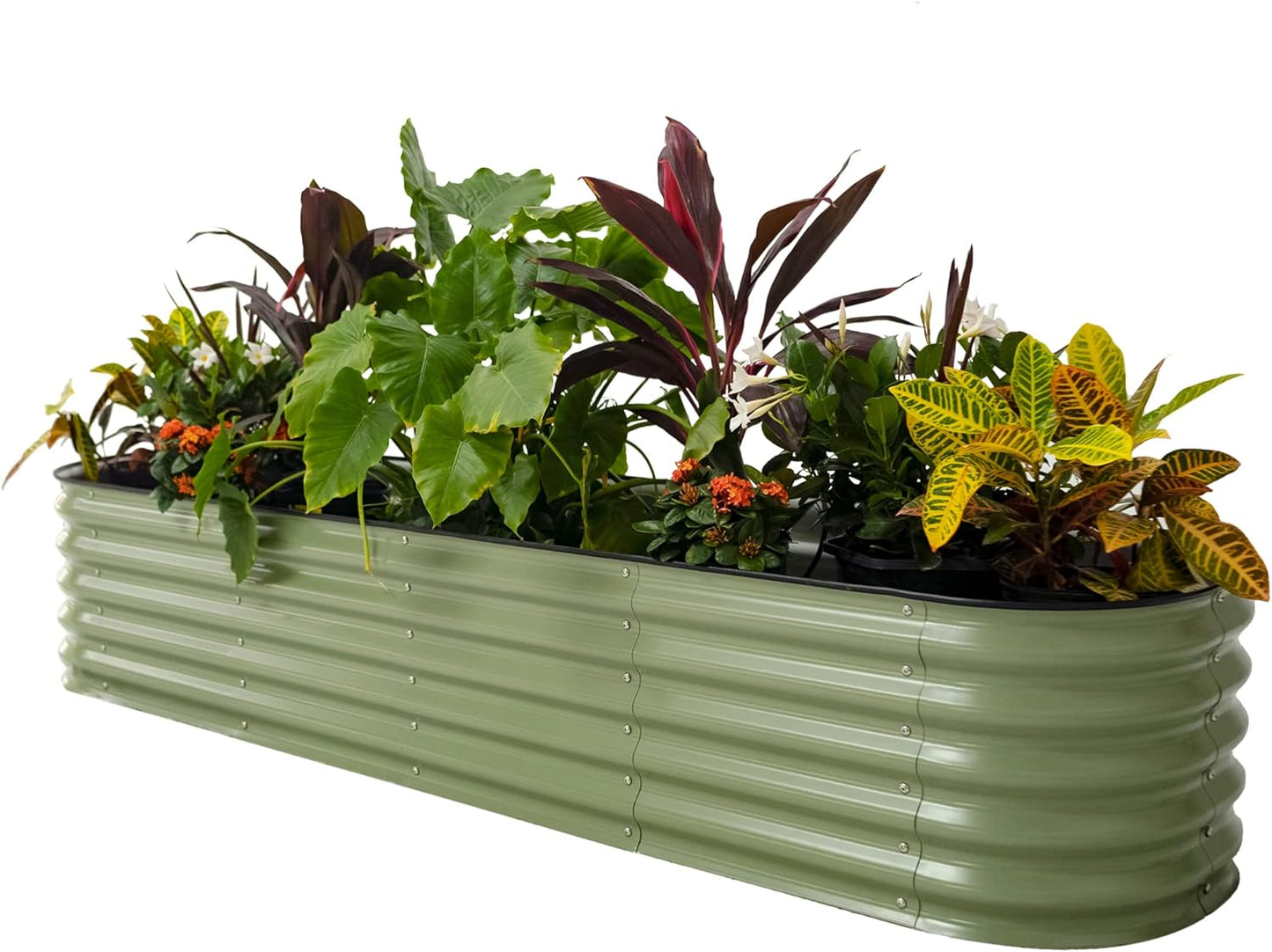 Vego Garden Raised Bed Kits for Vegetables and Flowers, 8ft x 2ft