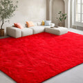 EVOIONOS 5x8 Washable Large Area Rug - Ultra Soft Fluffy Shag