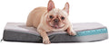 Medium Dog Beds for Medium Dogs Memory Foam Bed - Orthopedic Support