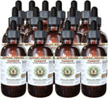 Yarrow Alcohol-Free Liquid Extract - Organic Yarrow Glycerite