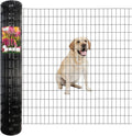 Black PVC Coated Welded Wire Fence for Garden Protection