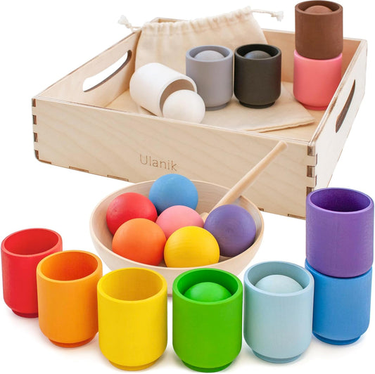 Montessori Color Sorting Game for Toddlers