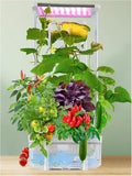 Smart Hydroponic Gardening Kit with LED Grow Light - Grow Fresh Herbs Indoors!