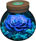 Blue Preserved Real Rose with Mood Light Wishing Bottle 4.3in