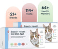 Cat DNA Test Kit 2 Pack - Comprehensive Breed, Health & Dental