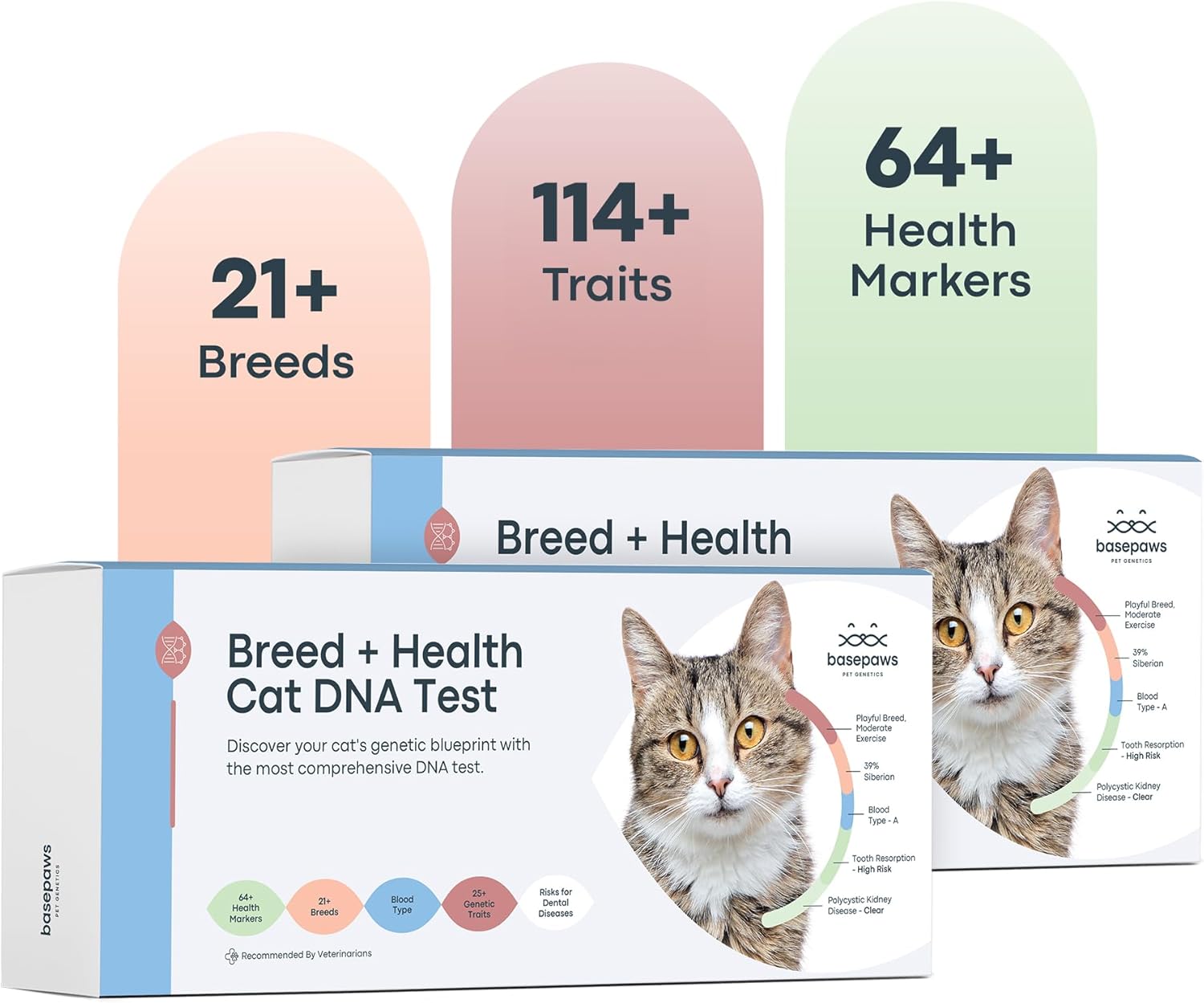 Basepaws Cat DNA Test Kit - Comprehensive Health Insights