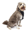 Kurgo Enhanced Strength Tru-Fit Smart Dog Harness, Large - Crash