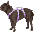 Escape Proof Dog Harness Lavender Purple Small - Secure Reflective