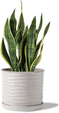 8 in Ceramic Planter in Cream White - Wave Embossed Indoor/Outdoor Pot