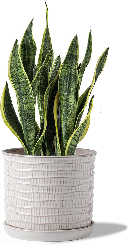 8 Inch Ceramic Plant Pot with Drainage Hole & Saucer for Home