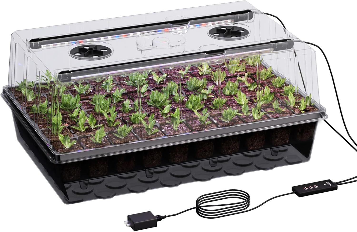 60-Cell Self-Watering Seed Starter Tray with Grow Light Kit