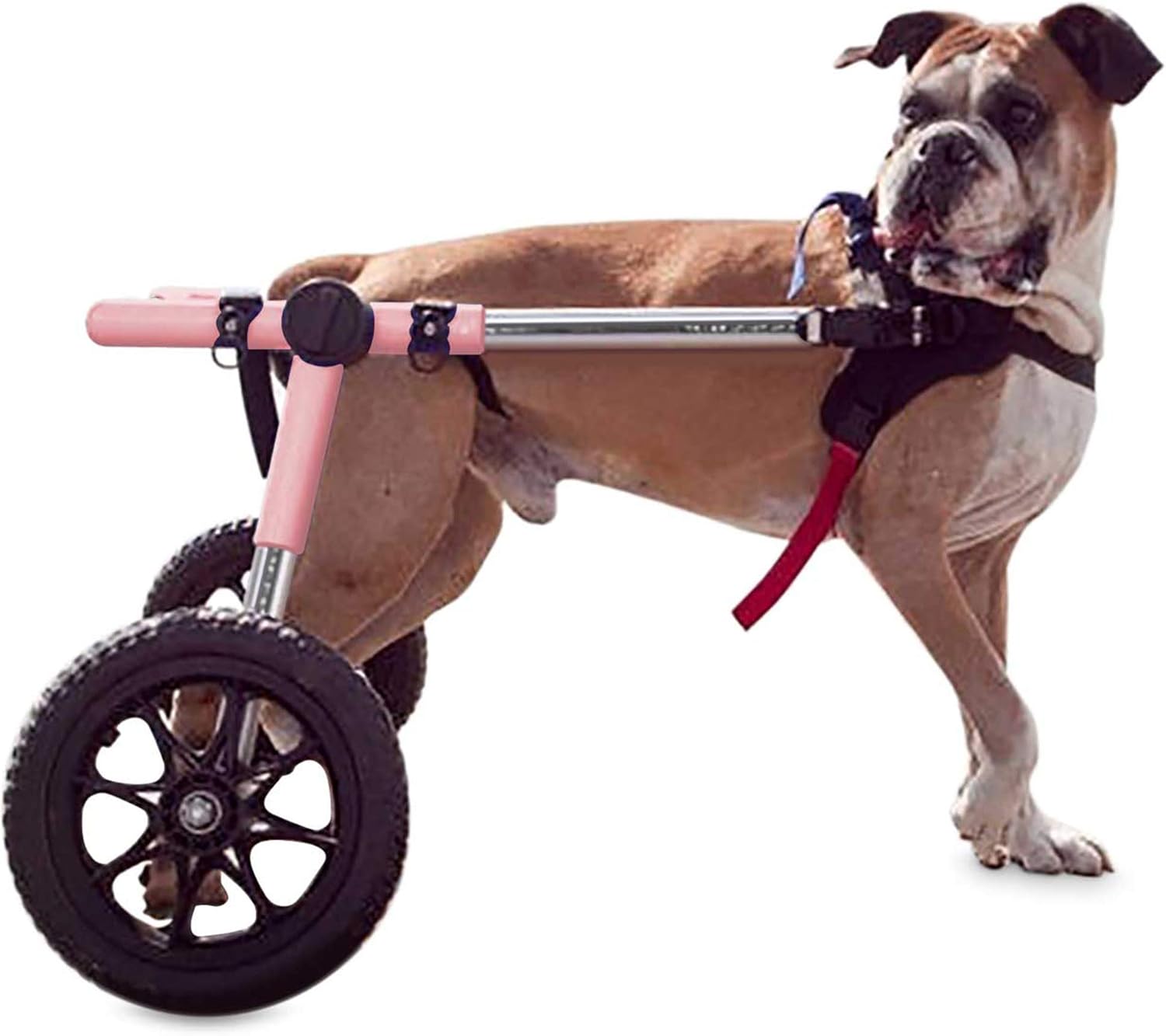 Walkin' Wheels Large Dog Wheelchair for Back Legs, 70-180 lbs