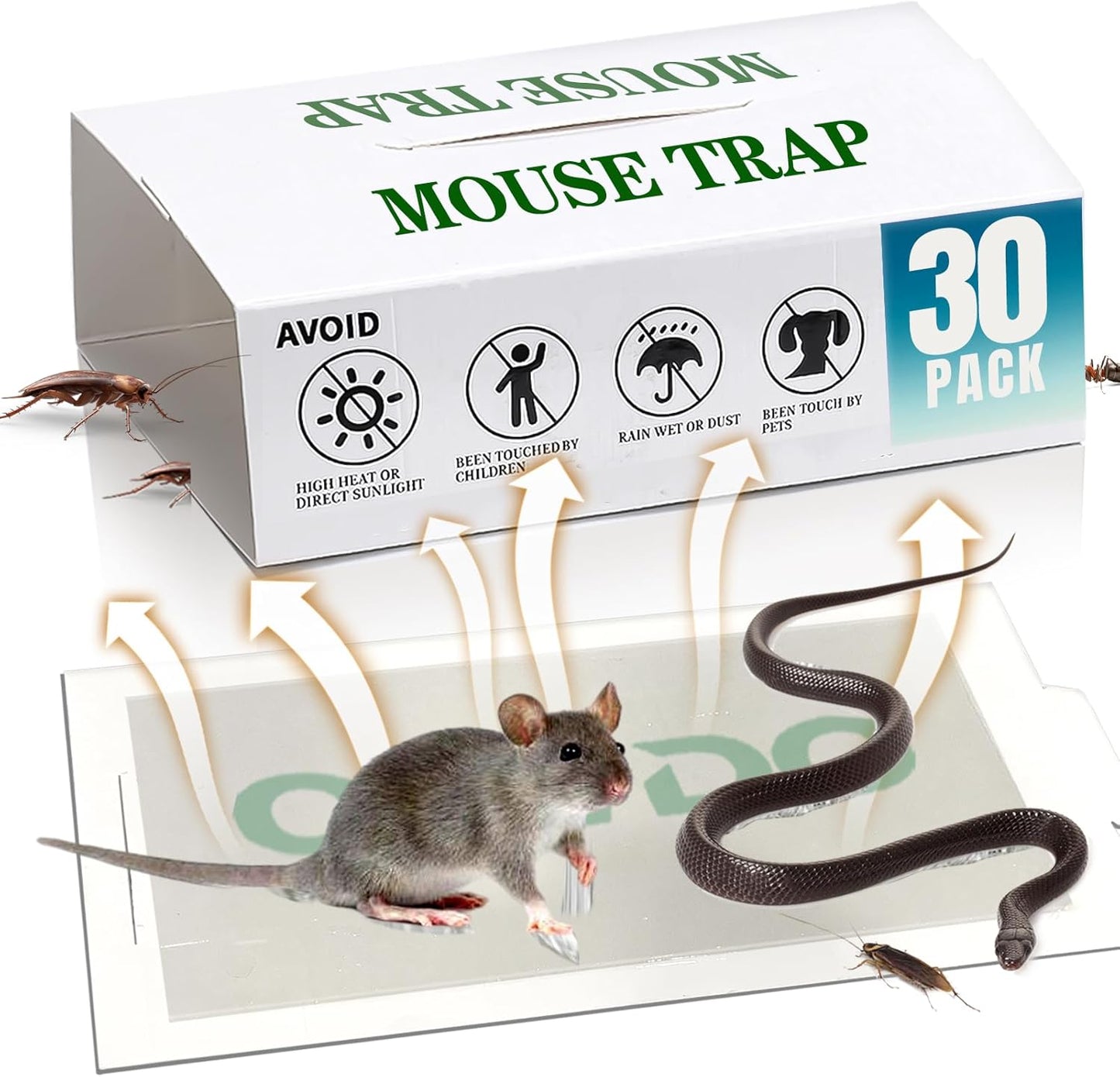 30-Pack Pet-Safe Indoor Insect Glue Traps