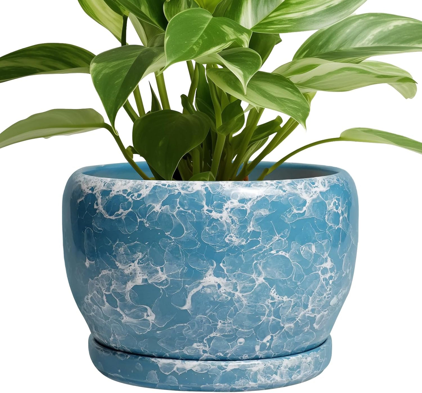 SQOWL Ceramic Pots for Plants - 8 Inch Decorative Planter