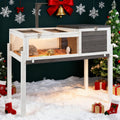 Tortoise Habitat Wooden Tortoise House - Tall Two-Room Enclosure