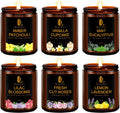 6 Pack Scented Soy Candles for Home - Six Charming Scents