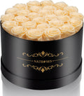NATROSES 27 Piece Forever Preserved Roses in a Box - Long-Lasting Gift