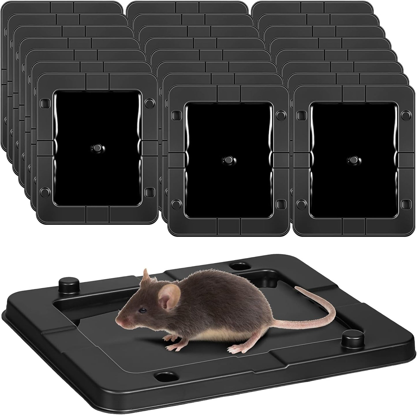 Rodent Killer Glue Traps - 24 Pack