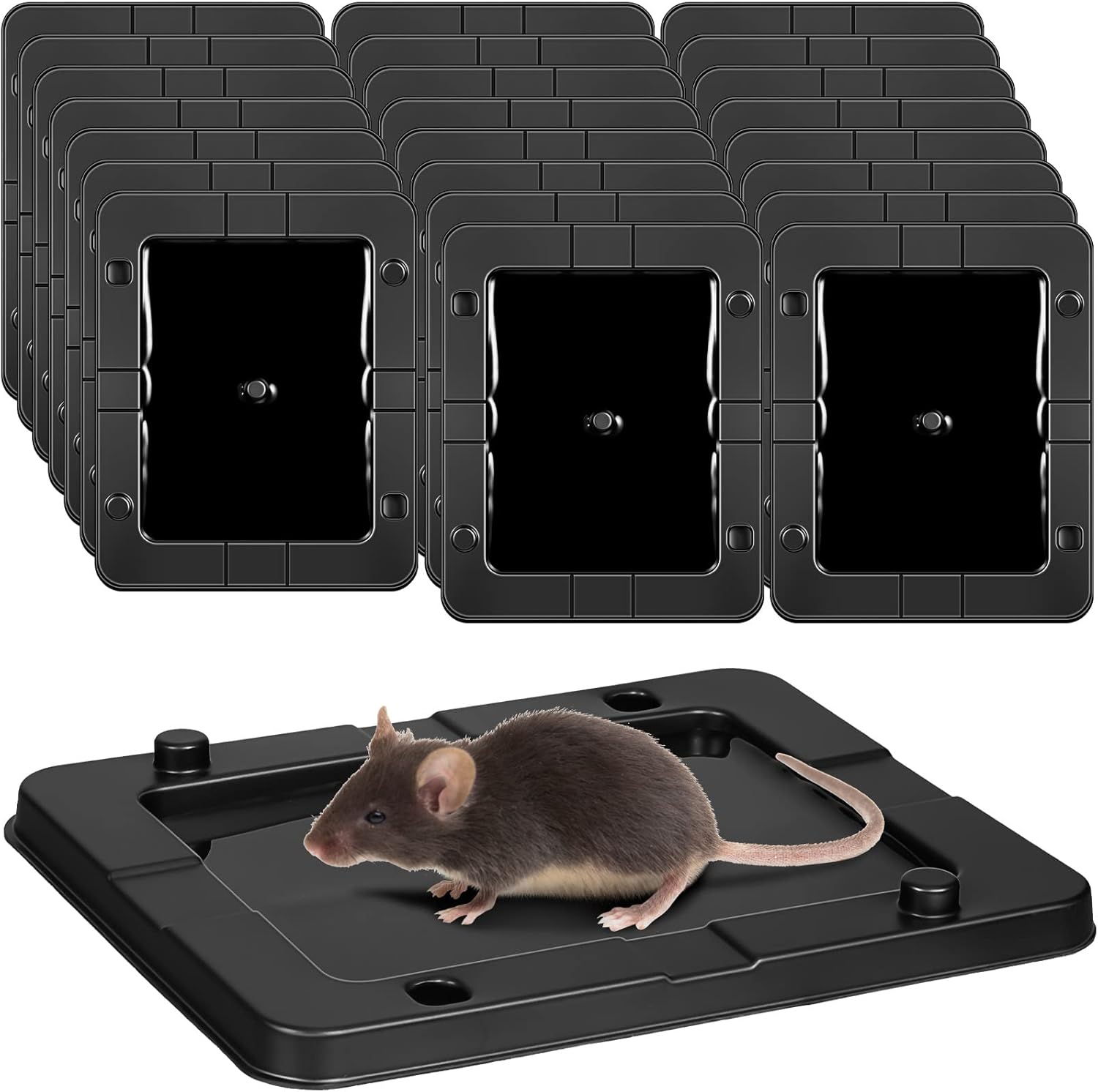 Rodent Killer Glue Traps - 24 Pack