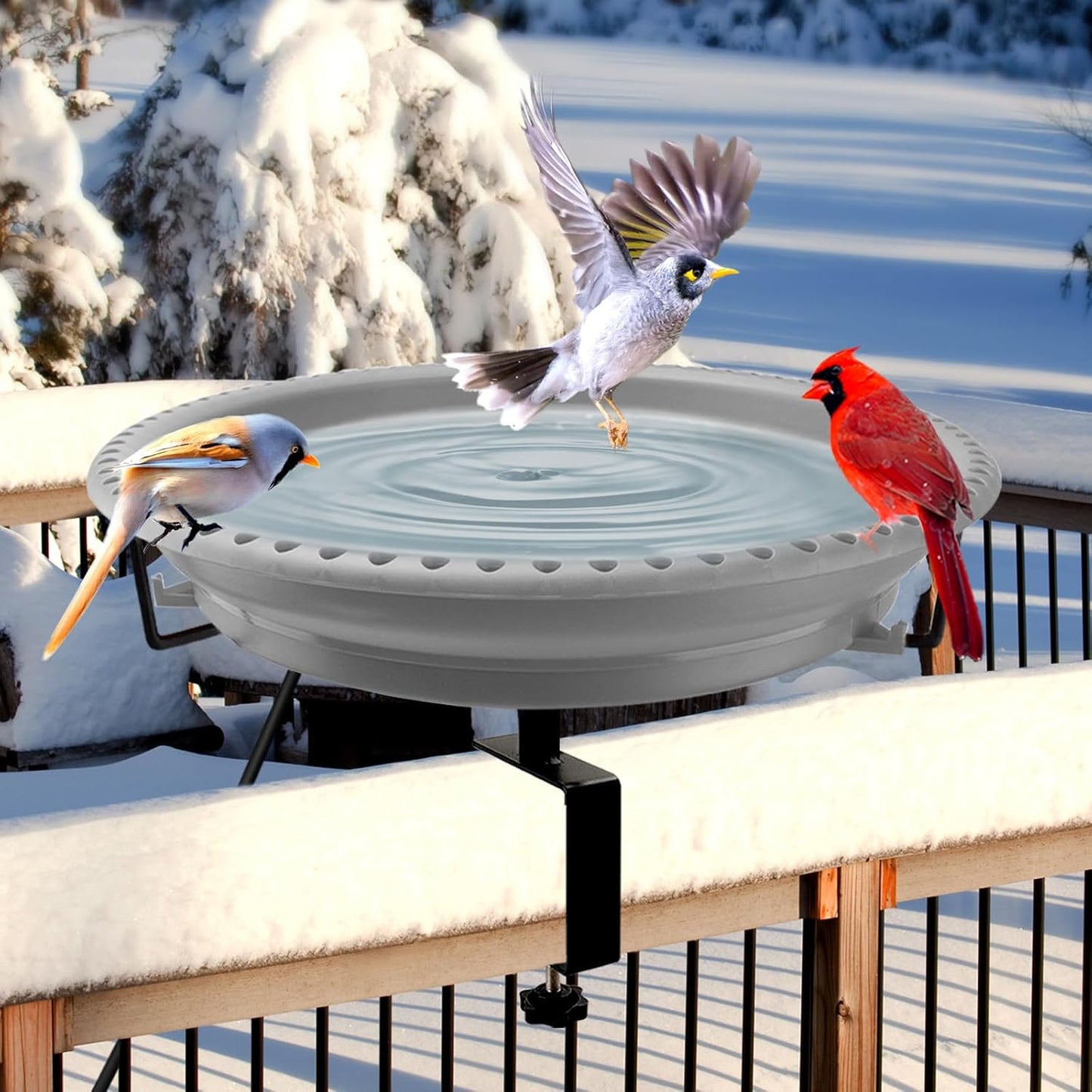 Daoeny Heated Bird Bath for Deck Railing - Winter Essential