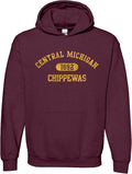University Team Color Athletic Arch Hoodie - Unisex Cotton Blend