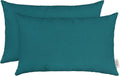 Spectrum Peacock Jumbo Lumbar Throw Pillows Set of 2 - 26in x 16in