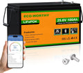 24V 100Ah LiFePO4 Battery - Bluetooth Monitoring & Low-Temp Protection