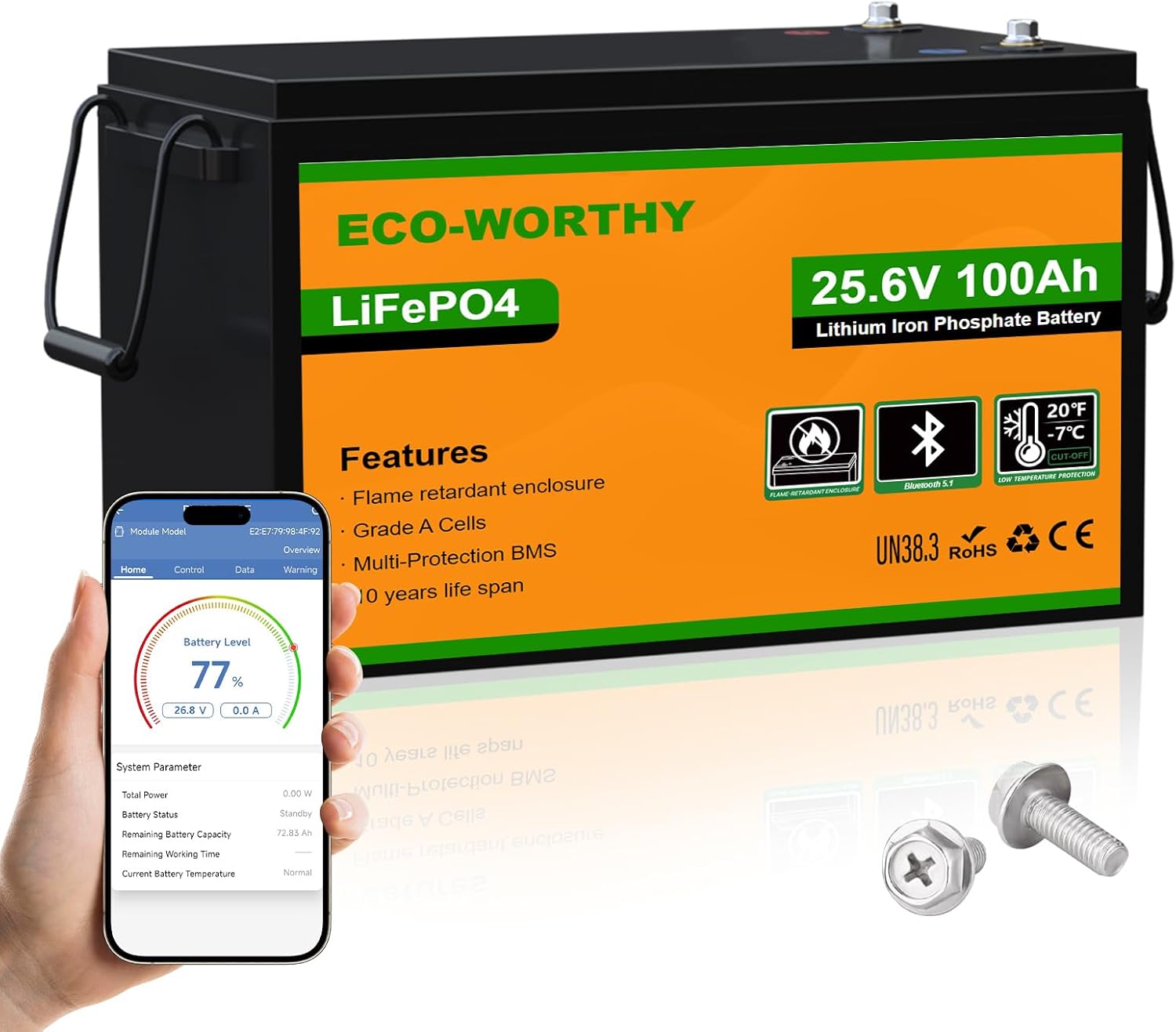 ECO-WORTHY 24V 100Ah LiFePO4 Battery with Bluetooth Monitoring