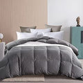 Topllen Grey Down Comforter Queen/Full Size - All-Season Warmth