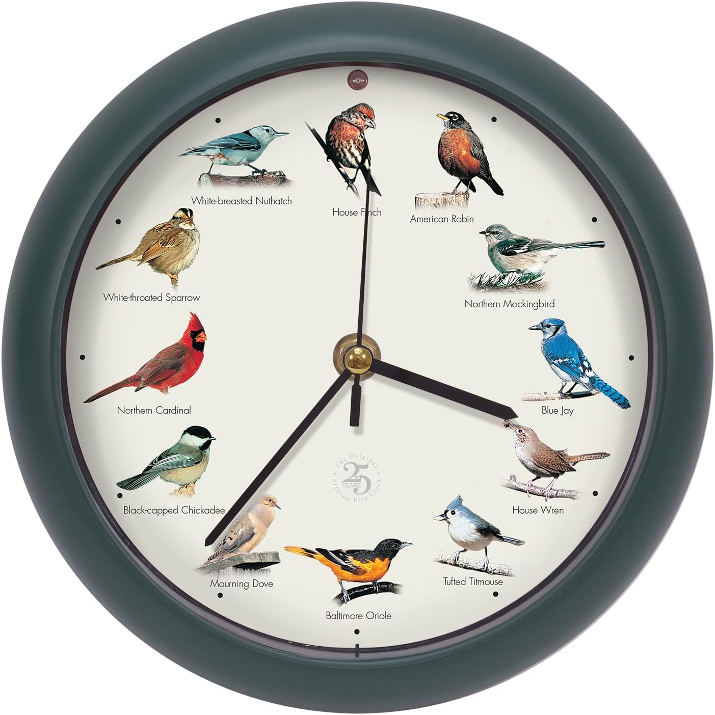 Original Singing Bird Clock 25th Anniversary Edition 8 Inch