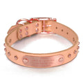Handmade Studded Bridle Leather Dog Collar - Solid Copper Nameplate