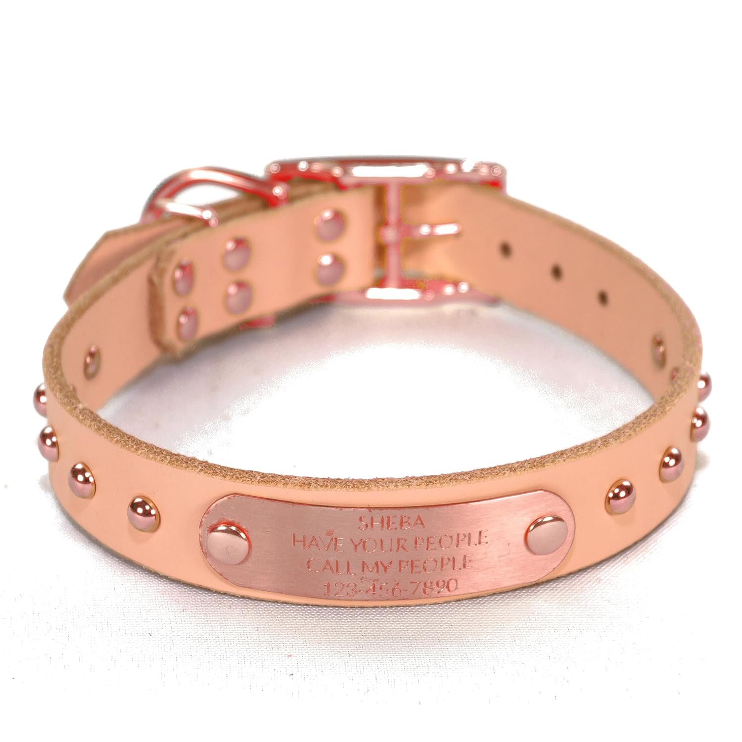 Handmade Studded Bridle Leather Dog Collar with Copper Nameplate
