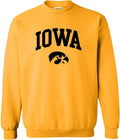 NCAA Arch Logo Team Color Crewneck - Comfortable School Pride UGP