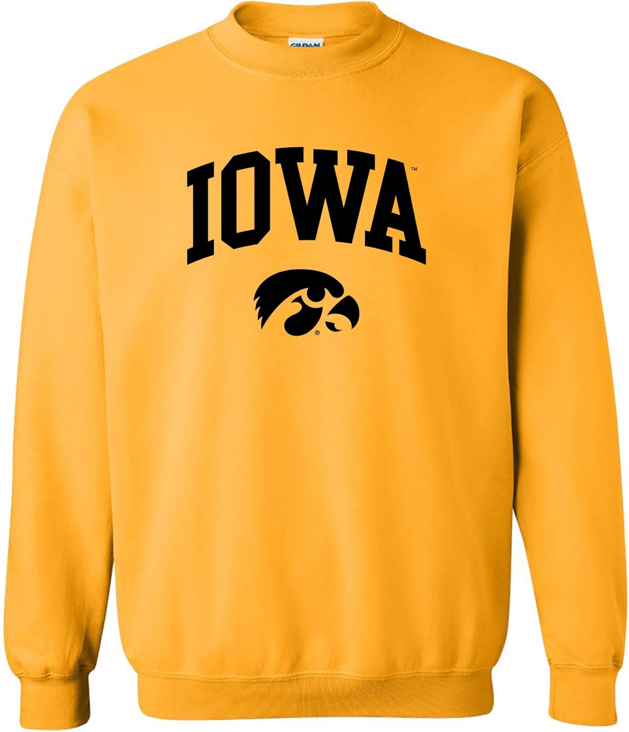NCAA Arch Logo Team Color Crewneck Sweatshirt for Fans