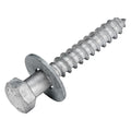 3/8 x 2-1/2 Lag Screw Kit (50 Pack) - Hot-Dip Galvanized for Outdoors