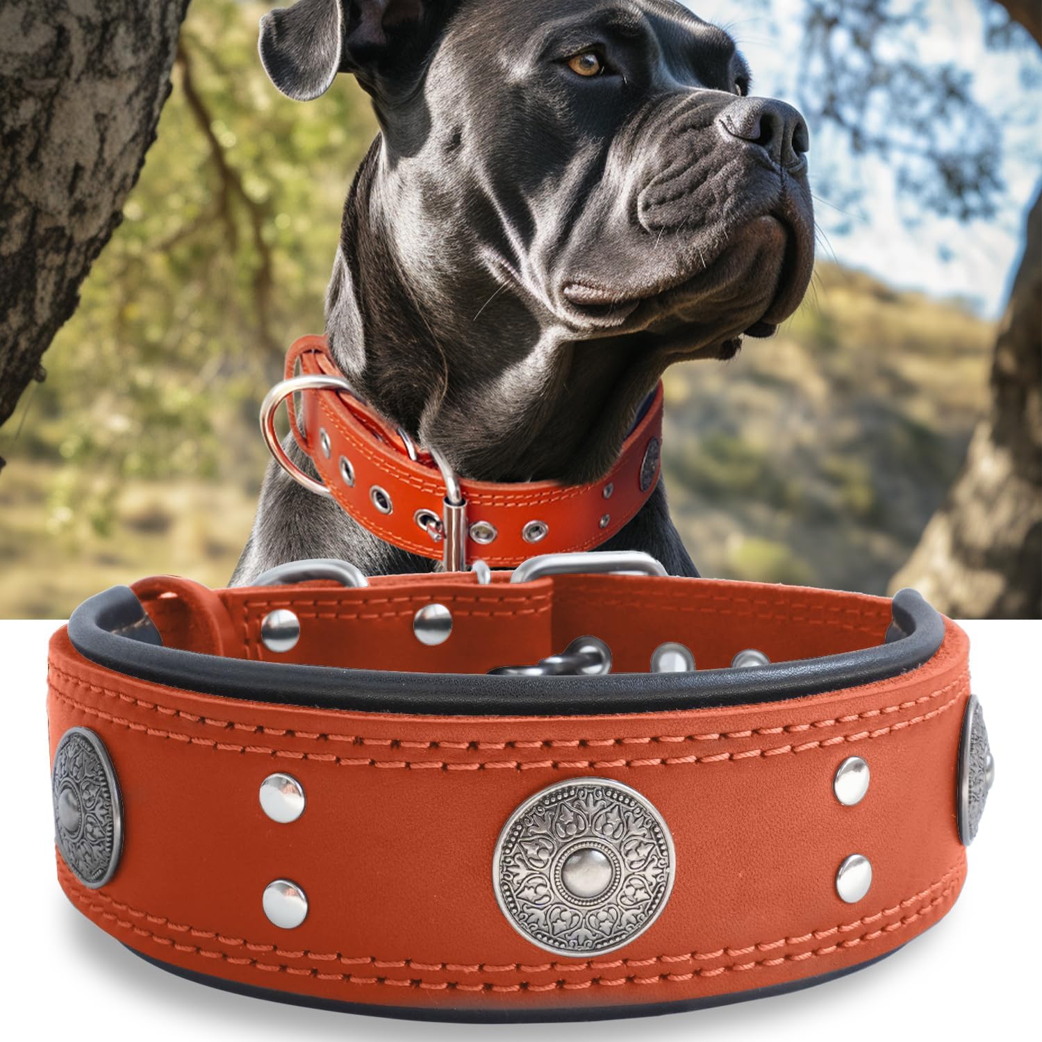 Leather Dog Collar, Heavy Duty Genuine Leather for Large Dogs
