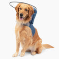 Blind Dog Halo Harness & Bumper Collar Accessory Blue Size 5 - Safe