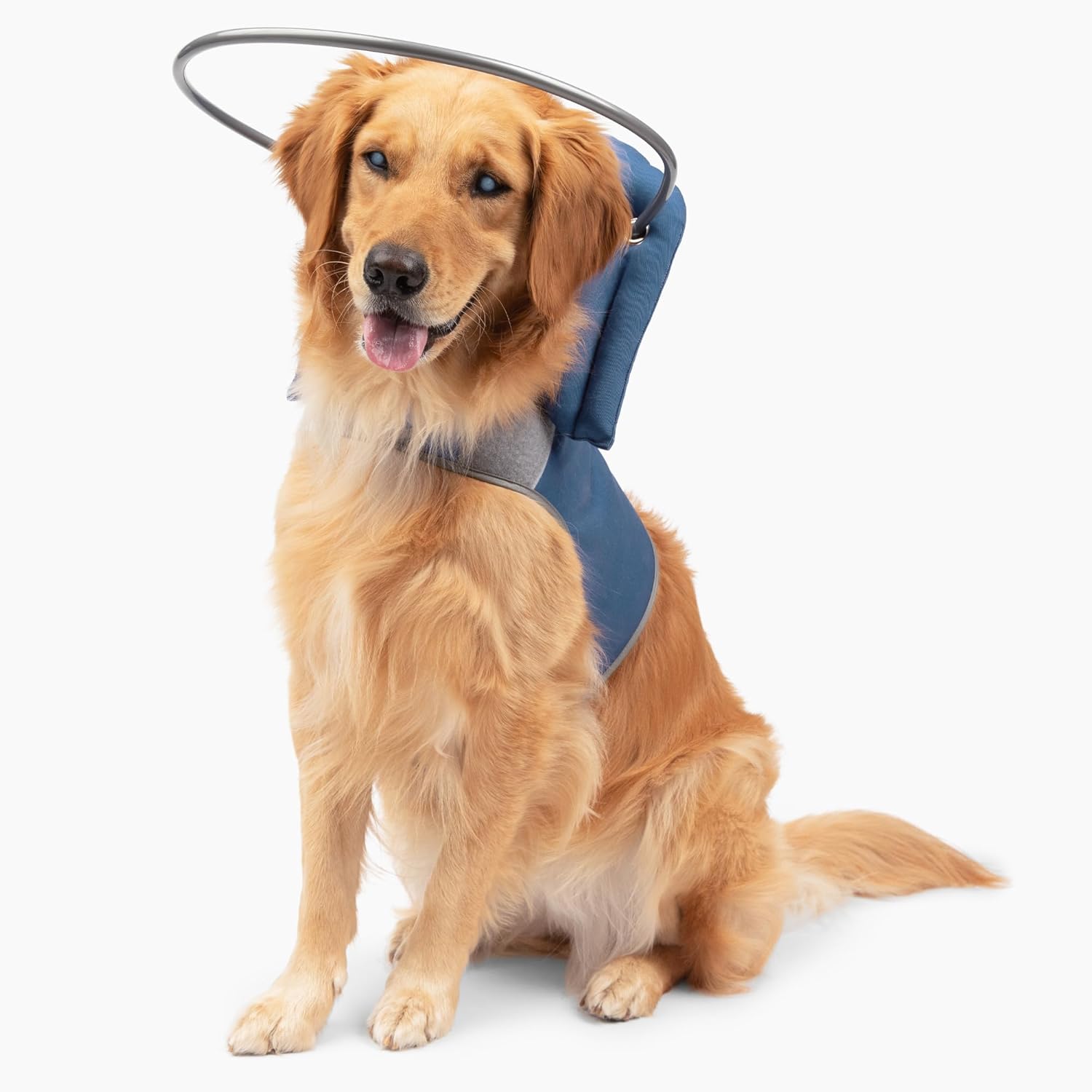 Muffins Halo Original Blind Dog Harness & Bumper Collar Accessory
