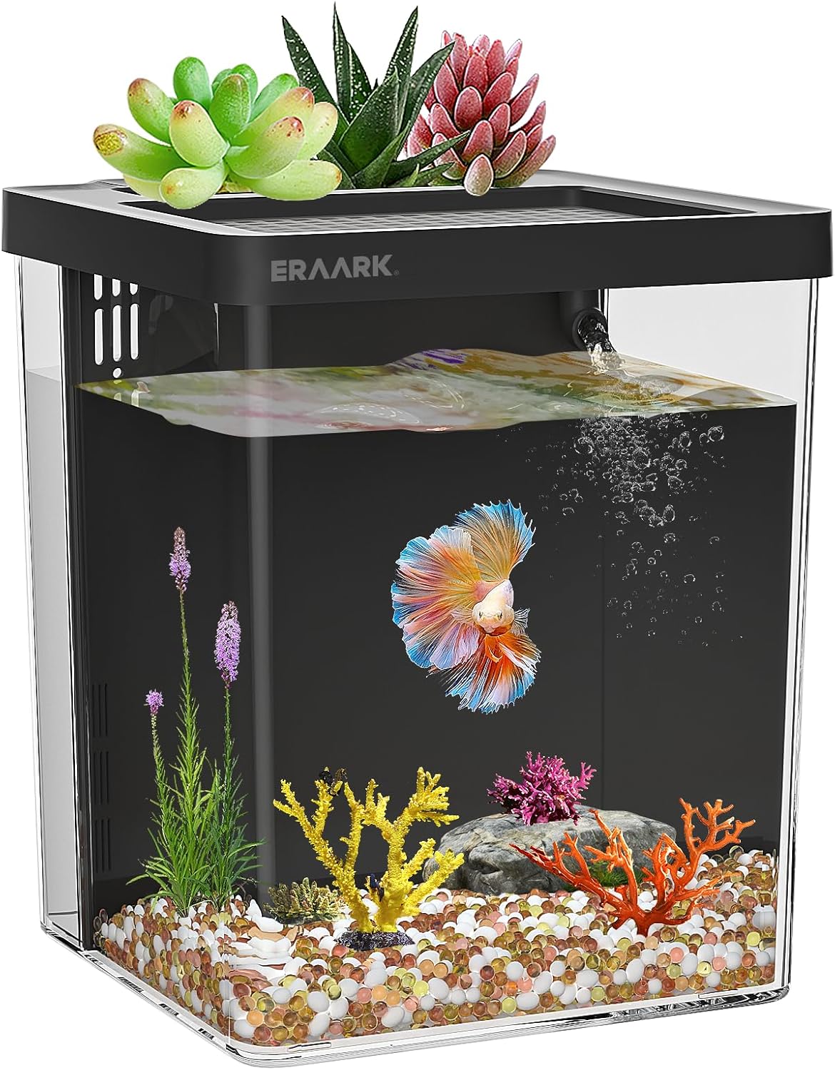 Get Serene with ERAARK Betta Tank Kit