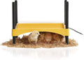 Brinsea Ecoglow Safety 600 Chick Brooder Plate - Safe LowWatt Heat