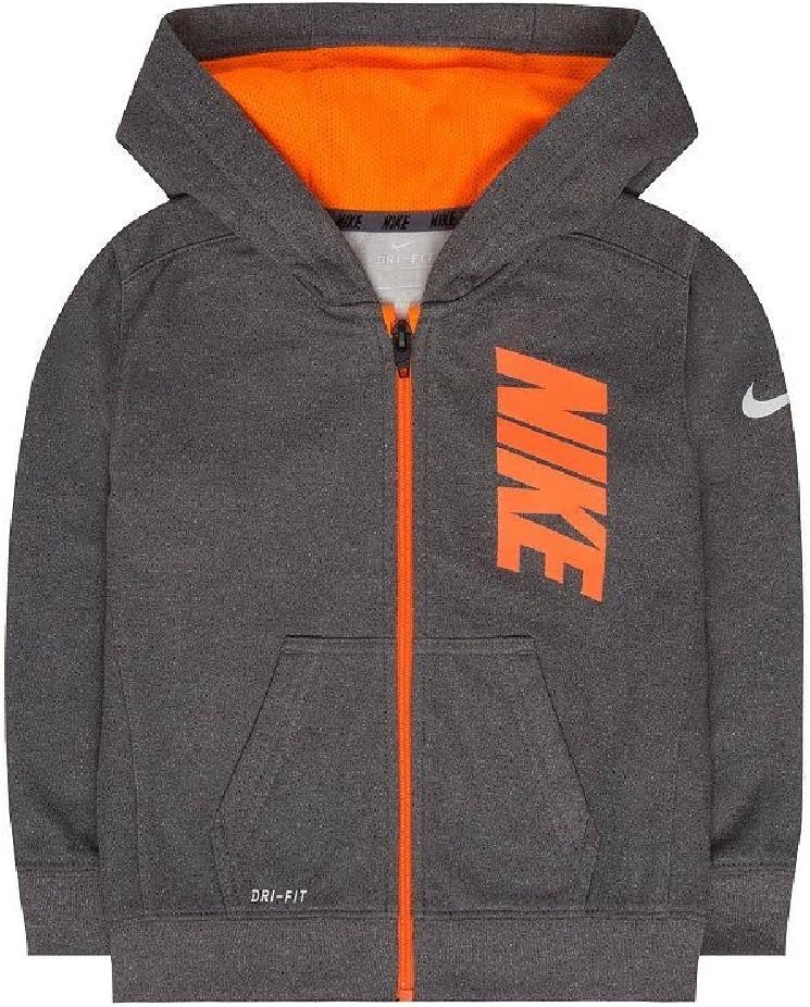Nike Kids Gray Therma-FIT Logo Hoodie, Size 4