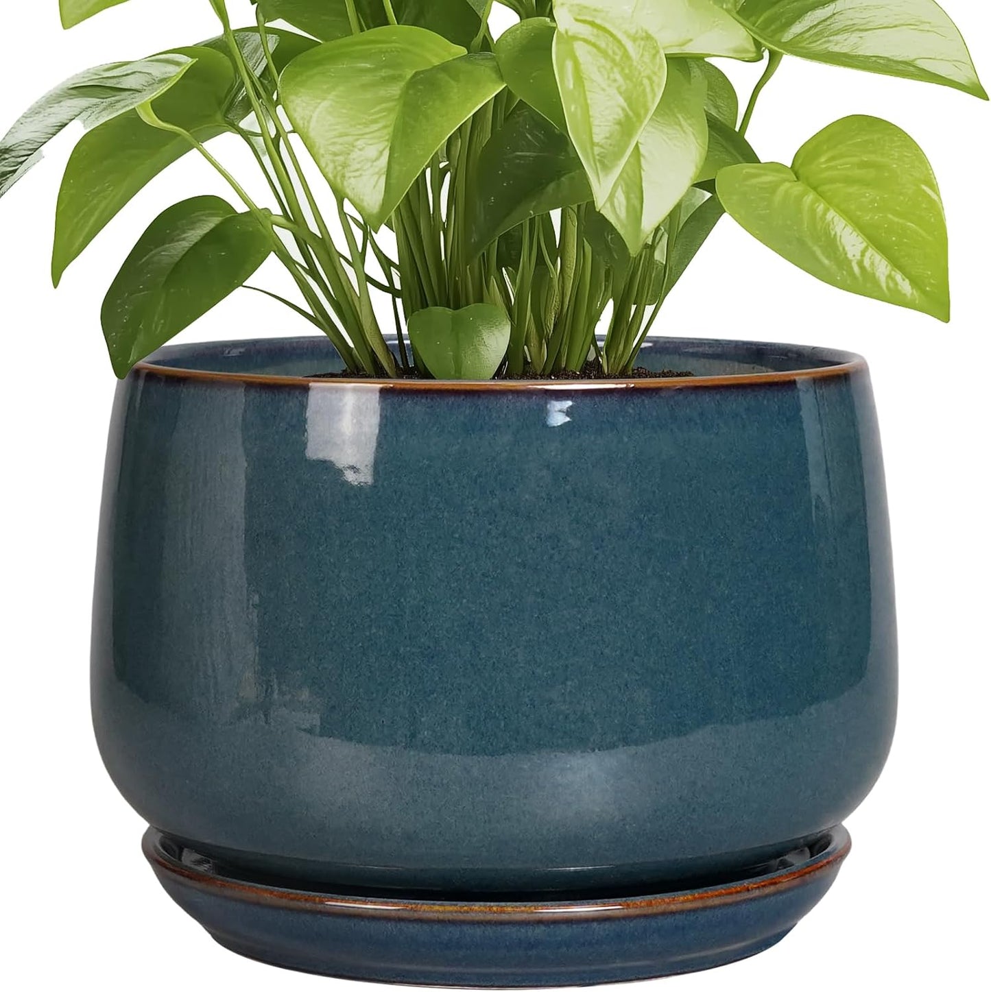 Modern 9 Inch Round Ceramic Plant Pots for Indoor Outdoor Use