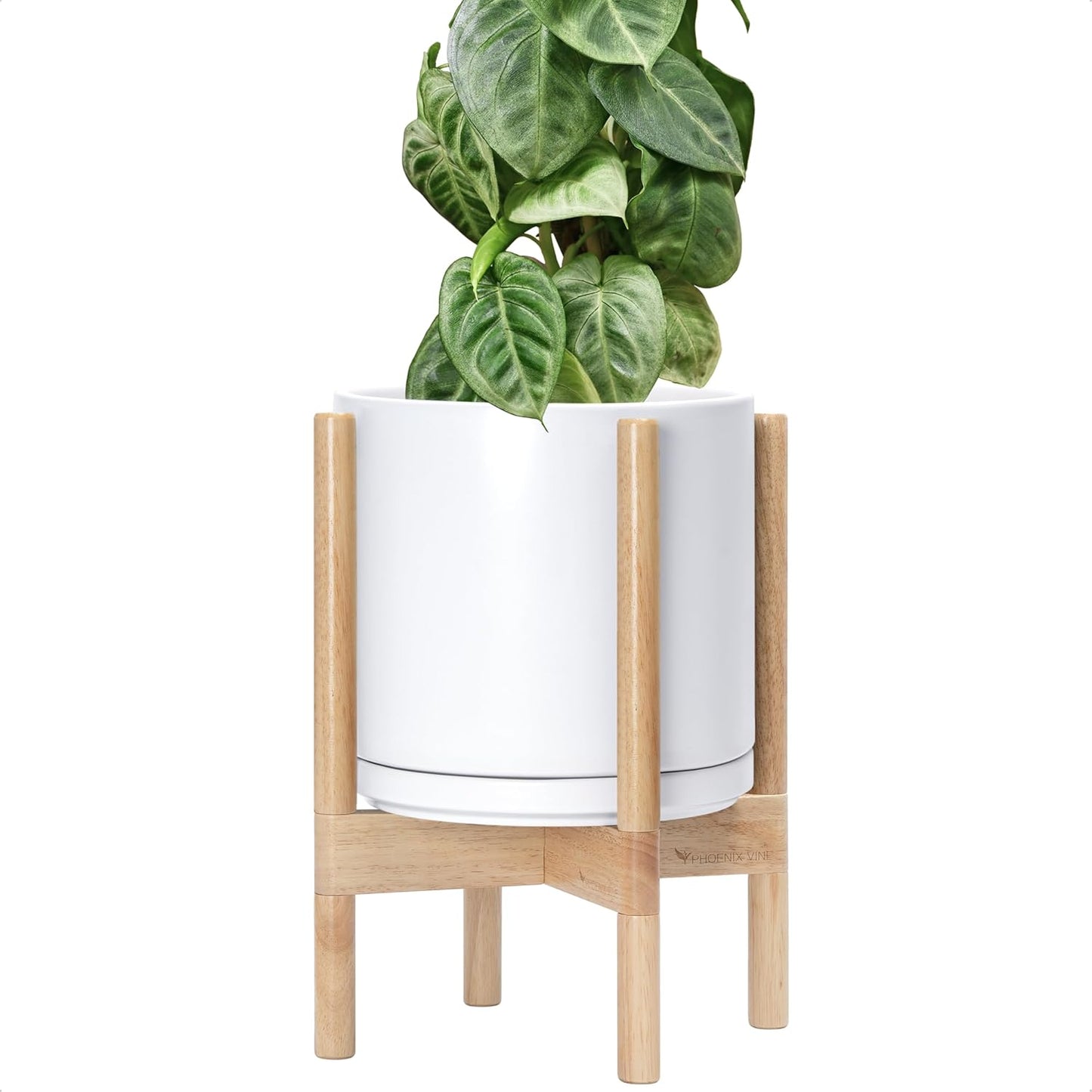 D'vine Dev Ceramic Planter with Natural Stand - 10 Inch Pot