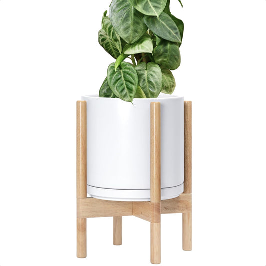 D'vine Dev Ceramic Planter with Natural Stand - 10 Inch Pot