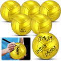 Gold Autograph Size 2 Mini Volleyballs - Pack with Pump for Gifts