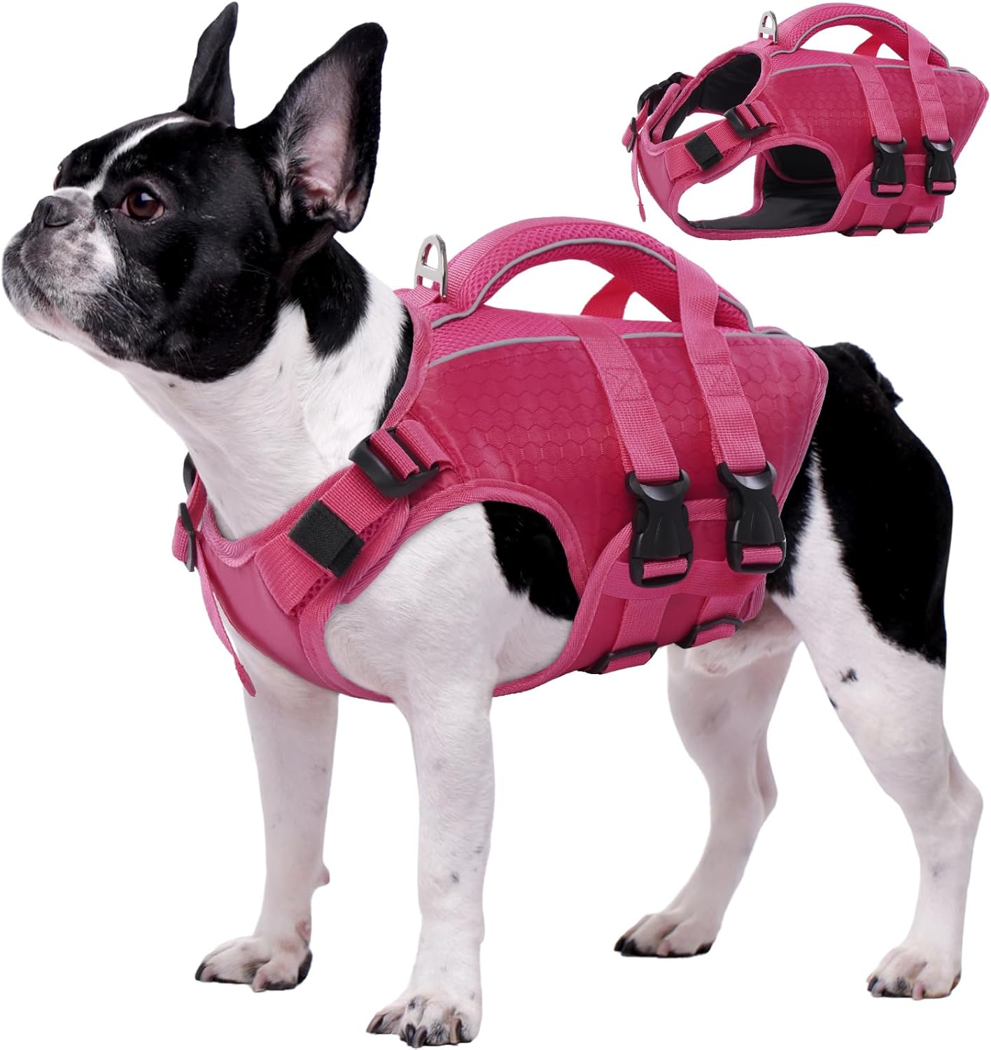 Kuoser Dog Life Jacket High Flotation for Safe Swimming Fun
