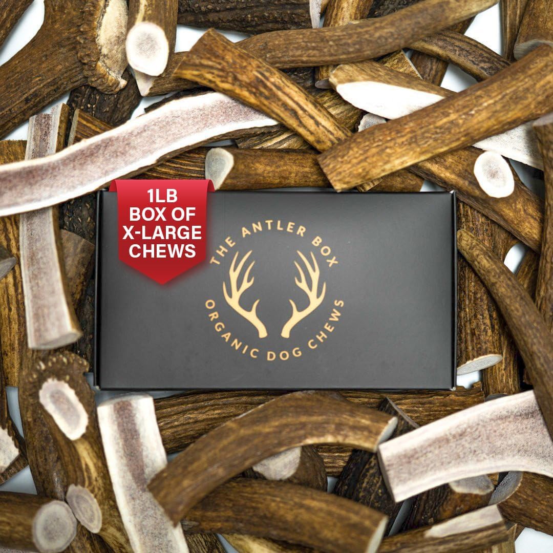 Premium Elk Antler Dog Chews for Healthy Teeth and Gums
