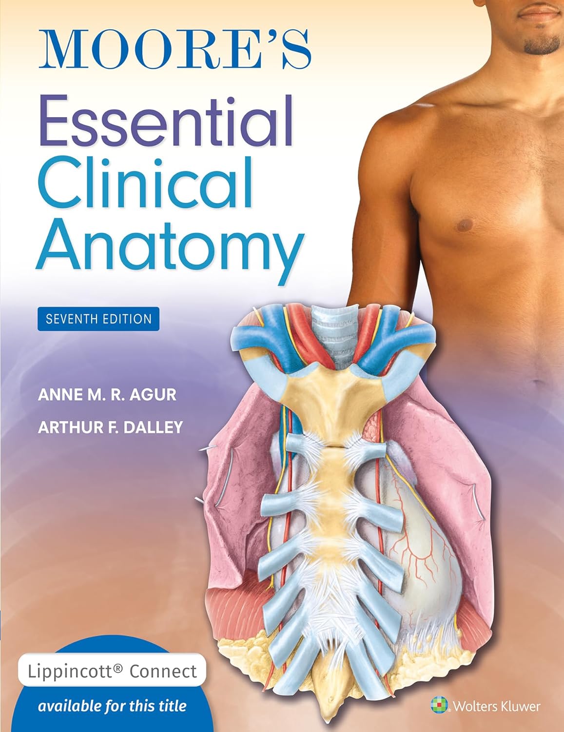 Moore's Essential Clinical Anatomy for Comprehensive Learning