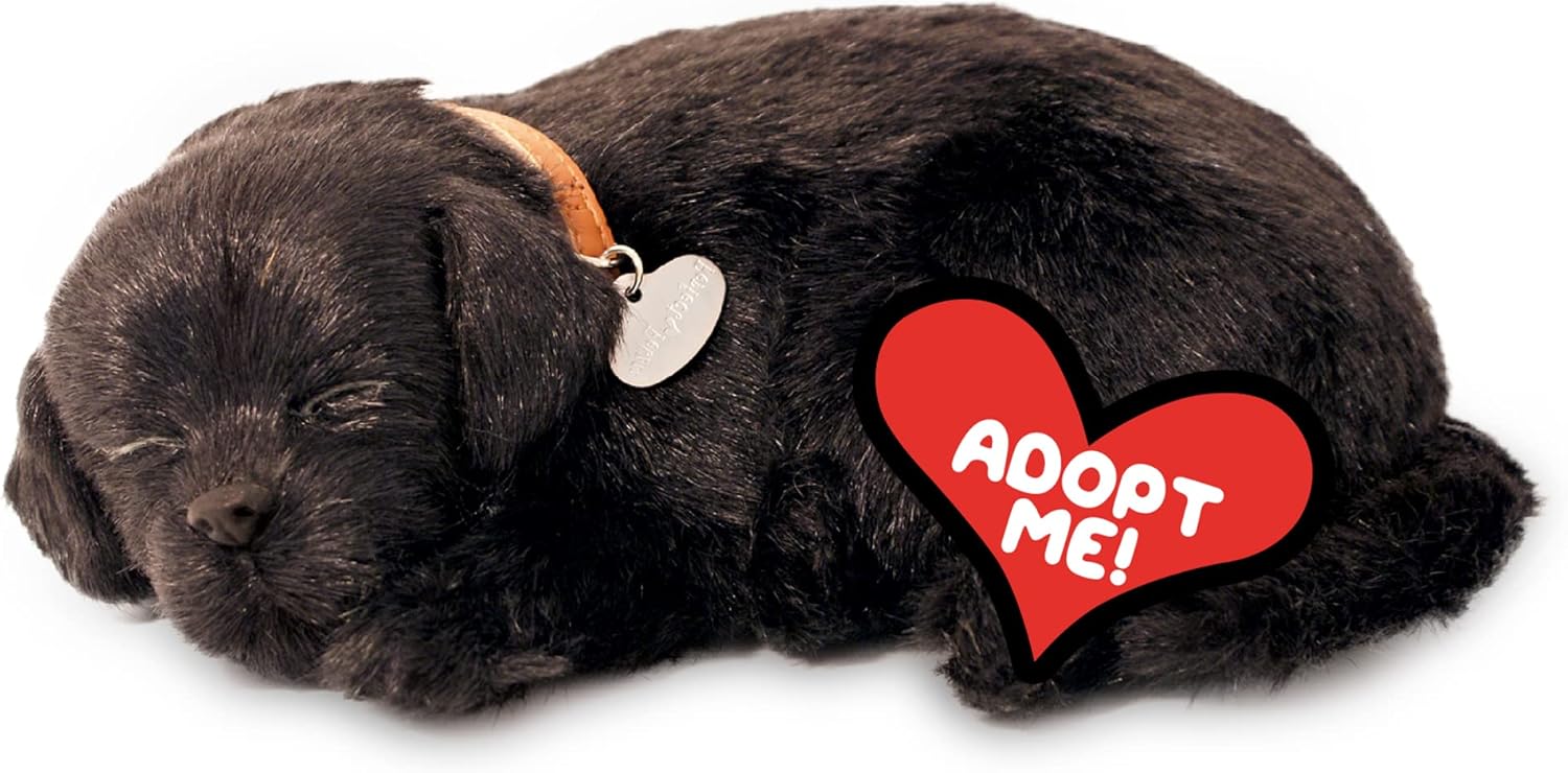Realistic Black Lab Interactive Pet Toy